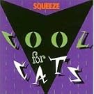 Cool For Cats