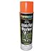 Sporting Goods : Athletic Striping Paint (Orange)