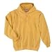Hanes ultimate cotton printpro hooded pullover Image