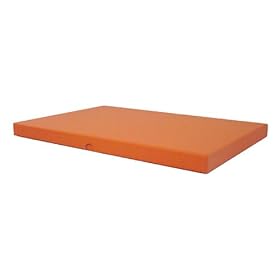 Cargo Premier Archival Storage Presentation Box 13x19 x 1, Color: Saffron.