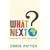 What Next?: Surviving the Twenty-first Century