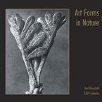 Art Forms in Nature 2009 Wall Calendar