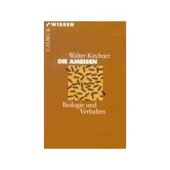 Die Ameisen: Biologie und Verhalten