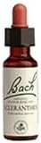 Bach Flower Essences Scleranthus ( 20 ml ) (Scleranthus annuus)