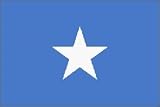 Somalia Flag Polyester 3 ft. x 5 ft.