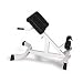 Yukon Fitness 45 Degree Hyper 45-HYP