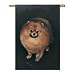 pomeranian7  - Pomeranian Banner