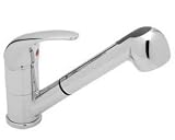 Blanco Torino Kitchen Faucet