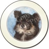 3 CHIHUAHUAS Tax Disc Holder