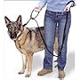 SPORN 5-FUNCTION TRAINING LEASH
