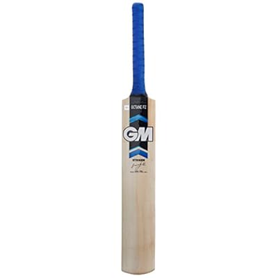 GM Octane F2 Striker Kashmir Willow Cricket Bat, Short Handle