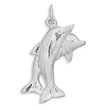 Two Dolphins Charm