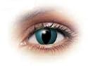 Jaguar Halloween Theatrical Lenses/non Prescription Contact Lenses