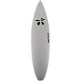 Surftech Dick Brewer Pro Mini Surfboard