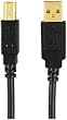 Axis 12-0080 (Mp-007/PT/BI Usb 2.0 A-Male To B-Male Cable (6 Feet)