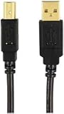 AXIS 12-0080 (MP-007/PT/BL 2.0 USB A-Male to B-Male Cable (6 ft)
