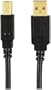 Axis 12-0080 (Mp-007/PT/BI Usb 2.0 A-Male To B-Male Cable (6 Feet)