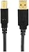 Axis 12-0080 (Mp-007/PT/BI Usb 2.0 A-Male To B-Male Cable (6 Feet)