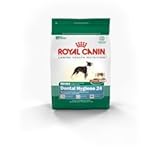 Royal Canin Mini Dental Hygiene (24) Formula Dry Dog Food