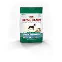Royal Canin Mini Dental Hygiene (24) Formula Dry Dog Food