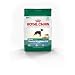 Royal Canin Mini Dental Hygiene (24) Formula Dry Dog Food