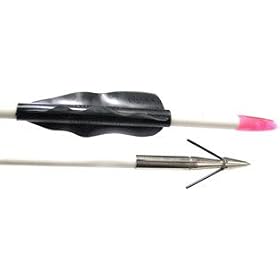 Buy Cajun Archery Lil Stinger Fish Arrow