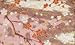 21dM4pZ%2BJdL. SL75  2010 Spring Fabric Exhibition Warm Lead Industries Spring