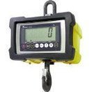 テラオカ　クレーンスケール　DS2043T