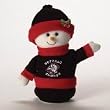 Buffalo Sabres 9" Animated Touchdown Snowman - NHL Hockey