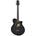 JB Player Acoustic-Electric Cutaway Guitar - Black