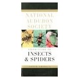 National Audubon Society Field Guide to North American Insects and Spiders (National Audubon Society Field Guides) [Imitation Leather]
