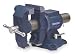 Westward 4YT10 Vise, Rotating Jaw