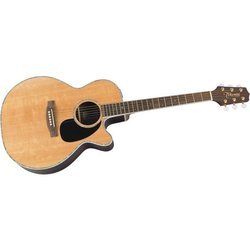 Childrens Toyshop  Musical Instruments : Takamine EG460SC NEX Cutaway Acoustic-Electric Guitar (Natural)
