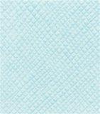 Doodlebug Cardstock By Bazzill 12X12-Pistachio