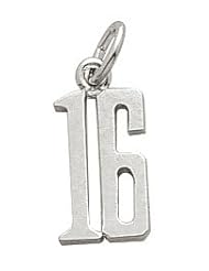Rembrandt Charms Number 16 Charm