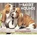 Just Basset Hounds 2009 Desk Calendar