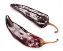 GUAJILLO, 20 lbs.