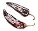 Gourmet Food : GUAJILLO,CHILI,(DRIED) 6 - 1 oz. clamshells