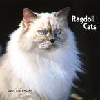 Ragdoll Cats 2010 Wall Calendar