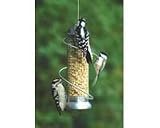 Mini Spiral Peanut Bird Feeder - Squirrel-proof, 8.5 in Silver