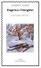 Eugenio oneguin (Letras Universales (catedra)) en Libros del nombre: 21dT3zbA4zL._SL75_