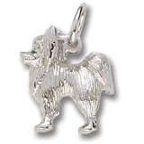 Papillon Charm by Rembrandt Charms