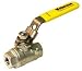 Webstone Valve 43721 Stainless Steel 3/8