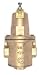 400 Max psi Pressure Reducing Valve