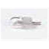 Replacement Bulbs-WLS 2000