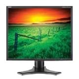 Nec LCD1990SX-BK 19-Inch 1500:1 LCD with DVI (Black)