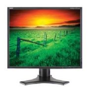 Nec LCD1990SX-BK 19-Inch 1500:1 LCD with DVI (Black)