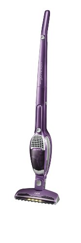 Imagen principal de AEG AG902 Ergorapido 2in1