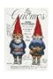 Gnomos/ Gnomes (Spanish Edition)