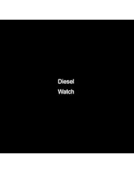 Diesel Womens DZ5337 Franchise Chronograph Silver Watch [Watch]